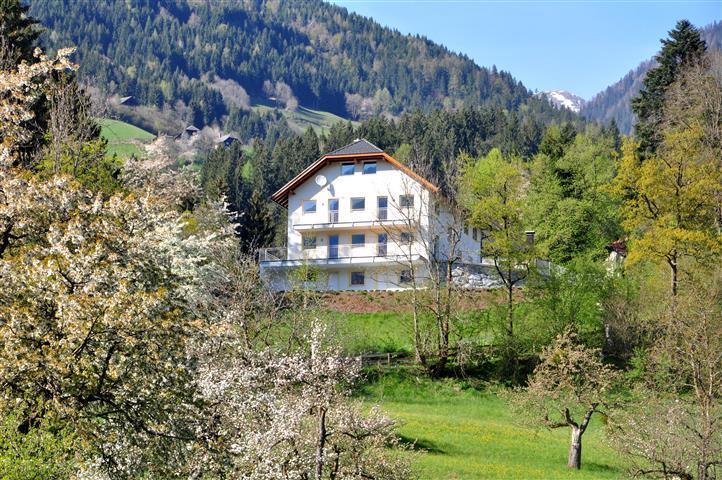 Apartament Haus Pflaum Dellach im Drautal Zewnętrze zdjęcie